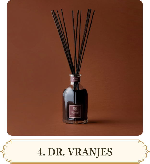4. DR. VRANJES