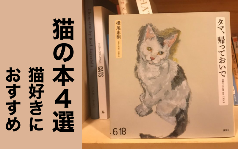 猫好きにおすすめしたい「猫の本」４選【小説、写真集、画集…】