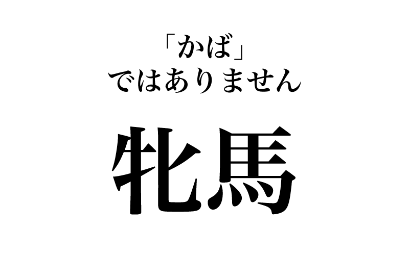 【漢字】「牝馬＝かば」は間違い！意外と読めない、競馬にまつわる漢字３選