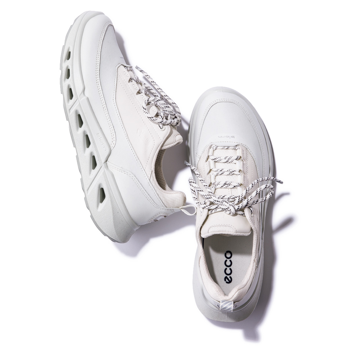 BIOM 720